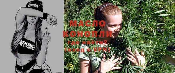 индика Беломорск