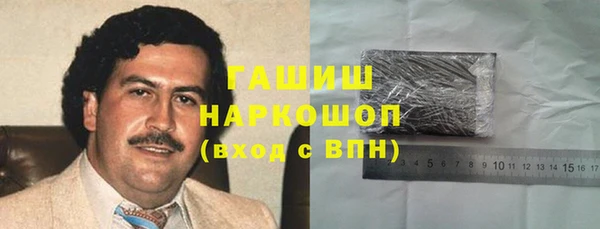 индика Беломорск