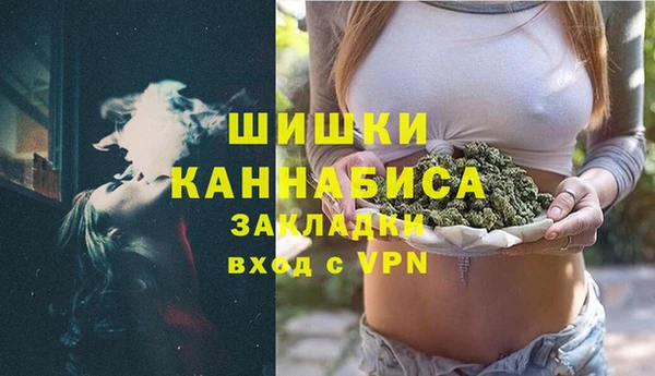 индика Беломорск