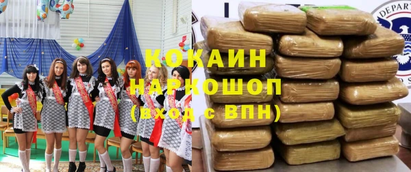 индика Беломорск
