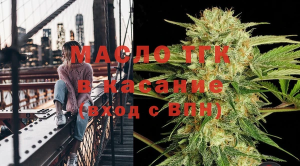 индика Беломорск